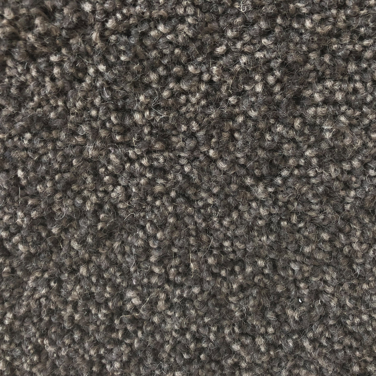 Feltex Coastal Stipple Carpet | Ian Hunt Flooring